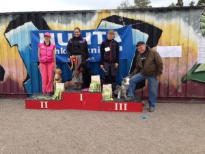 Tokokoe Kivikko 13092015_AVOkolmikko